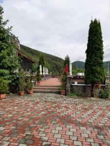 Photo de la galerie de l'établissement Vila Briana, à Păltiniş