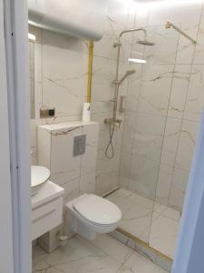 ein weißes Bad mit einem WC und einer Dusche in der Unterkunft Apartament Centrum in Ustroń