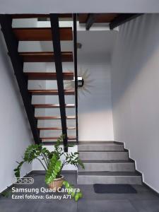Зображення з фотогалереї помешкання Scala Studio Apartments у місті Бачка-Топола