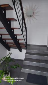 Зображення з фотогалереї помешкання Scala Studio Apartments у місті Бачка-Топола