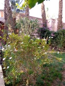 Foto dalla galleria di Riad Tabhirte a Agdz