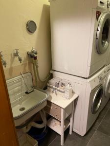 a laundry room with a sink and a washing machine at Gästehaus Götz in Reinhardshagen