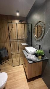 a bathroom with a sink and a toilet and a mirror at King Town Apartment in Krakow