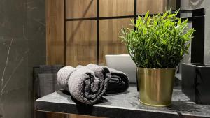 a towel on a counter next to a potted plant at King Town Apartment in Krakow