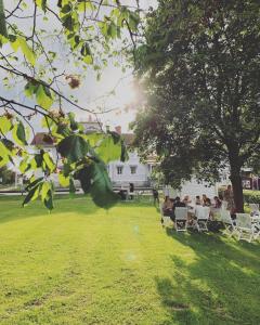 a group of people sitting in chairs under a tree at Gästisbacken in Alfta