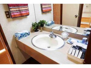 um balcão de casa de banho com um lavatório e um espelho em THE TORII - Vacation STAY 68438v em Kumamoto