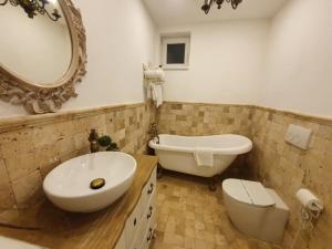 a bathroom with a sink and a tub and a toilet at The Hedgehog Boutique House & Garden in Cluj-Napoca +14 photos