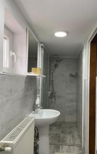 W łazience znajduje się umywalka i prysznic. w obiekcie Cabana La Plai Vest - cozy private place in the mountain w mieście Plaiu Şarului