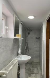 un bagno con lavandino e doccia di Cabana La Plai Vest - cozy private place in the mountain a Plaiu Şarului