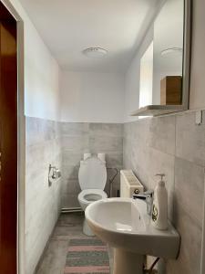 un bagno con un water bianco e un lavandino di Cabana La Plai Vest - cozy private place in the mountain a Plaiu Şarului