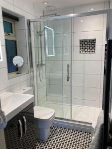 a bathroom with a shower and a toilet and a sink at The Oaks, Luxury 2 bedroom cottage in a peaceful location in Haughley