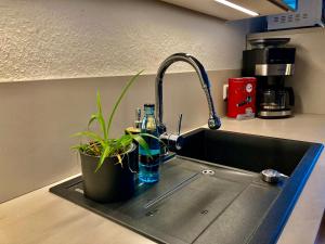 Billede fra billedgalleriet på Wohnung plus Garten in Lüneburgs Zentrum i Lüneburg