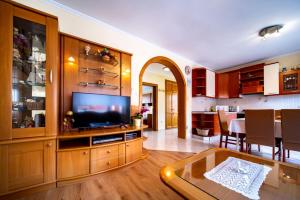 Televízia a/alebo spoločenská miestnosť v ubytovaní Apartment in Lopar with balcony, air conditioning, WiFi, washing machine (4886-2)