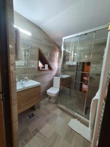 a bathroom with a shower and a toilet and a sink at Casa Serban in Durau