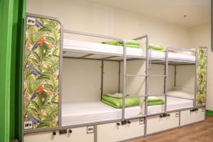 2 Etagenbetten in einem Zimmer mit grüner Wand in der Unterkunft Cats Hostel Madrid Sol in Madrid