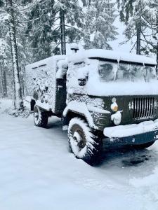 een groene jeep bedekt met sneeuw in het bos bij Baza vidpochynku Ilz in Slavske