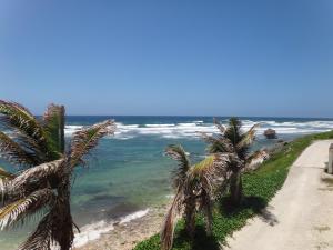 a dirt road next to the ocean with palm trees at The Atlantis Historic Inn in Saint Joseph