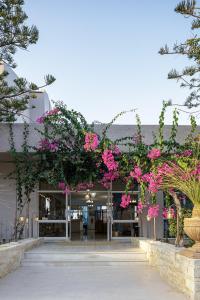 Zahrada ubytování Europa Resort Hotel