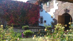 Foto dalla galleria di La Casa de las Brujas a Barrio