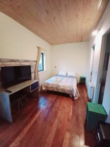 a bedroom with a bed and a flat screen tv at Hotel Nativo in Santiago