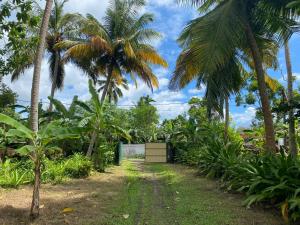 a dirt road through a forest with palm trees at Siri medura surf yoga meditation guesthouse and hostel in Weligama