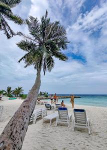 a palm tree on a beach with chairs and people at Pelican Beach Maafushi in Maafushi