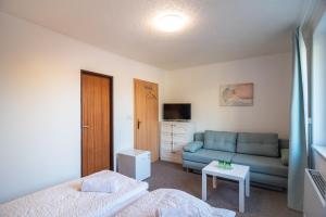 salon z niebieską kanapą i telewizorem w obiekcie Mikulov - Inn - hotel s vinným sklepem Venuše w mieście Mikulov
