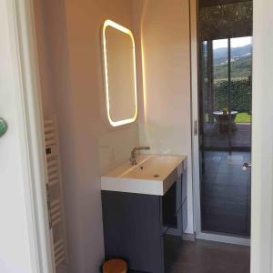 uma casa de banho com um lavatório e um espelho em Splendide appartement T3 piscine et vue mer em Grosseto-Prugna