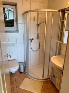 uma casa de banho com um chuveiro e um WC. em Haus Fernblick em Waldkirchen