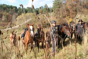 Attività di equitazione presso l'agriturismo o nelle vicinanze