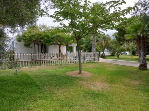 Las Casas de las Flores في لوس كانيوس دي ميكا: شجرة في العشب امام سياج