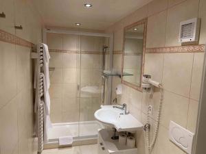 a bathroom with a sink and a shower at Auberge de Dully in Dully