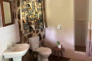 y baño con aseo y lavamanos. en Charming Bush chalet 5 on this world renowned Eco site 40 minutes from Vic Falls Fully catered stay - 1985, en Victoria Falls