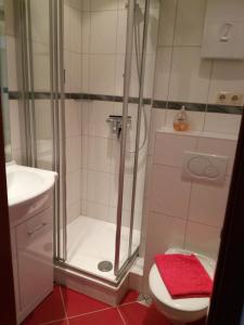a bathroom with a shower with a toilet and a sink at Fewo Therme im Oberharz in Altenau