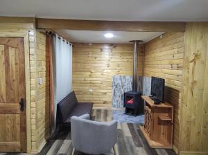 a living room with a couch and a stove at Cabaña Volcán Hornopirén in Hornopiren