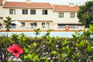 Zahrada ubytování 3BDR + 2BATH Comfy House El Medano