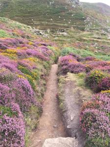 Gallery image of 1Bed Cabin Sleeps 2- Fireplace Garden Parking Pets in Lizard