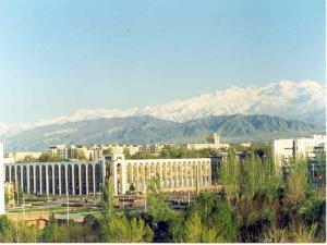 vistas a una ciudad con montañas en el fondo en Best-Bishkek City Apartment, en Bishkek