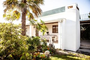 a white house with a palm tree at Mienru House Self Catering Cottage in Riviersonderend