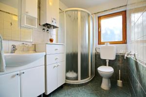 Koupelna v ubytování Holiday Home Katica + 25 fotografií