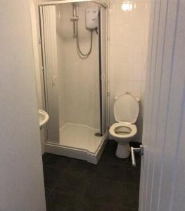 a bathroom with a shower with a toilet and a sink at Wheal Rodney Holiday Park in Marazion