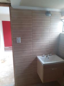 a bathroom with a sink and a wooden wall at Depto centro in Tres Arroyos +15 photos