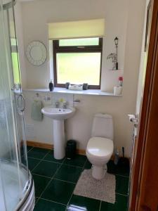 a bathroom with a toilet and a sink and a window at Snowberry Cottages No1 in Onich