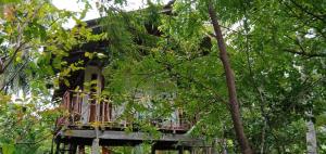 una casa en el árbol en medio de los árboles en Sigiri Panaromic Tree House, en Sigiriya