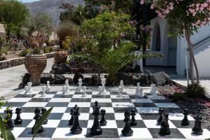 A garden outside Rivari Santorini Hotel