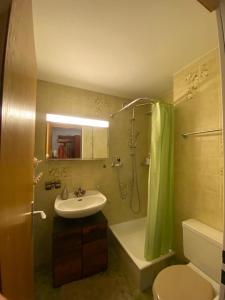 洛伊克巴德的住宿－Lärchenwald 1804，浴室配有盥洗盆、卫生间和淋浴。