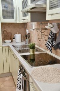- une cuisine avec un évier et un comptoir dans l'établissement Apartment Carpe diem in Belgrade, à Belgrade