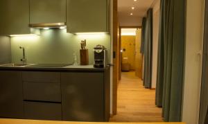 uma cozinha com um balcão, um lavatório e um corredor em Wally Berg-Appartements em Zams
