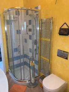 a bathroom with a shower and a toilet at Ferienhaus, Rustico Auf Burg in Locarno +49 photos
