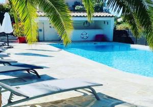 a pool with chaise lounge chairs and a palm tree at Maxima Sunset in Sainte-Maxime